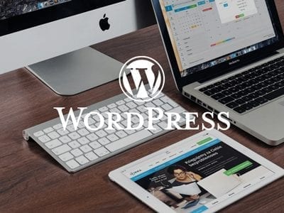 WordPress installatie en thema setup